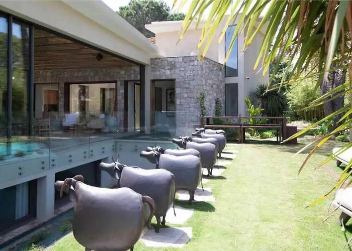 Prestige A C 12p With Pool & Lounge *